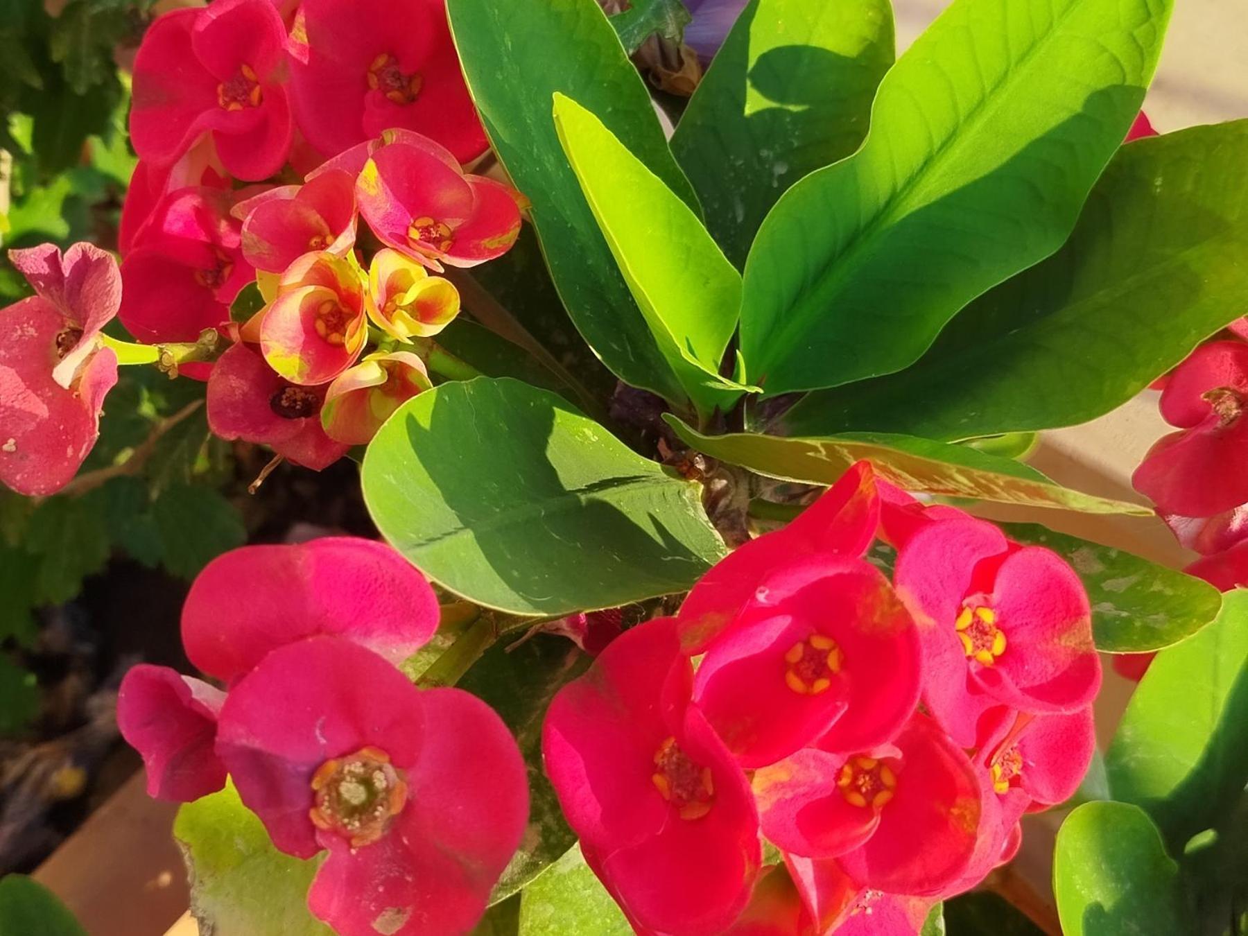 Profumo Di Mare 1 Villa อัลกาโมมารีนา ภายนอก รูปภาพ